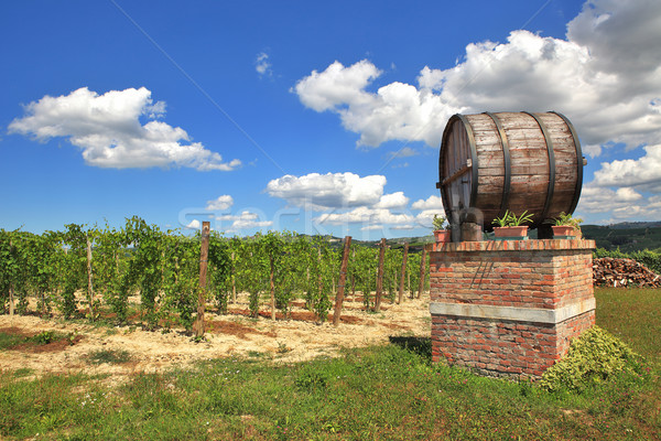 Italian winery. Castiglione Falletto, Northern Italy. Stock photo © rglinsky77