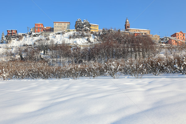 Small town on the hill covered by snow. Stock photo © rglinsky77