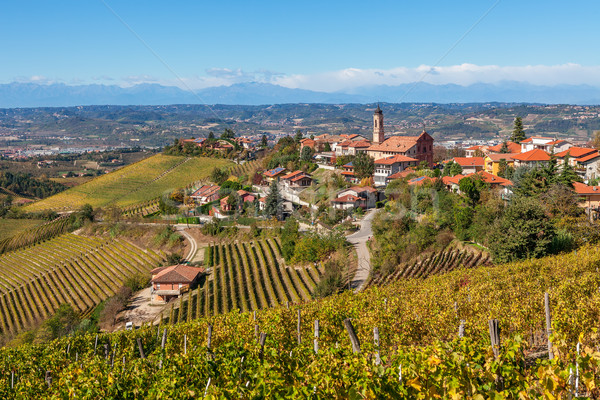 Autumnal vineyards and small town in Italy. Stock photo © rglinsky77