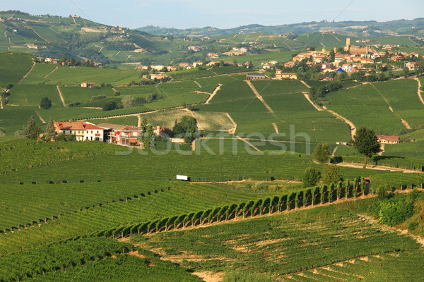 Vista Italia colinas vino viaje Foto stock © rglinsky77