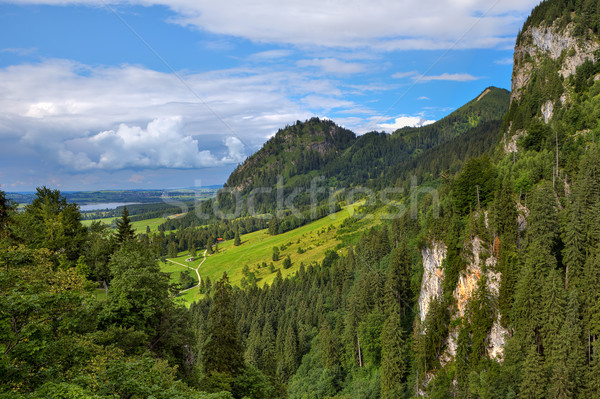 Green meadow among mountains in Bavaria, Germany. Stock photo © rglinsky77