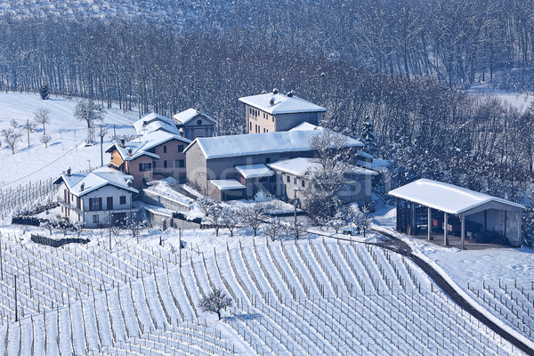 Ländlichen Häuser bedeckt Schnee Italien wenig Stock foto © rglinsky77