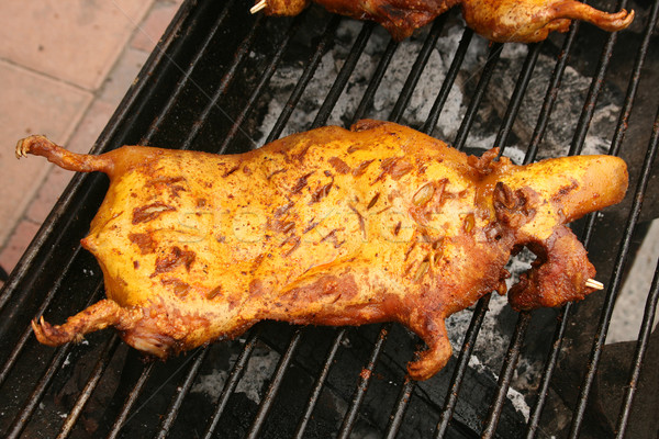 [[stock_photo]]: Guinée · porc · Equateur · extérieur