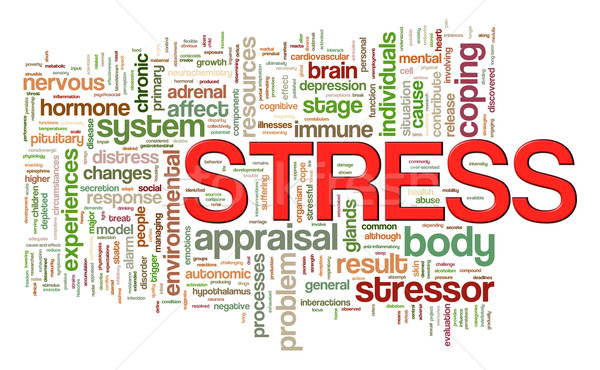 Szó címkék stressz illusztráció szófelhő test Stock fotó © ribah