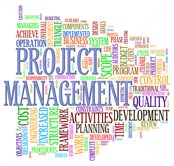 Projekt Management Illustration Wort Business Stock foto © ribah