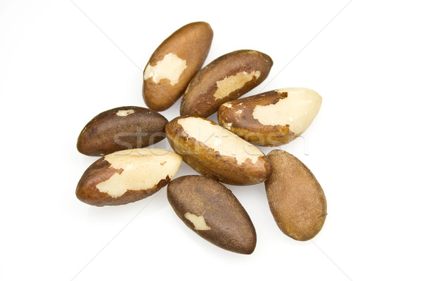 Brazil Nuts Stock photo © ribeiroantonio