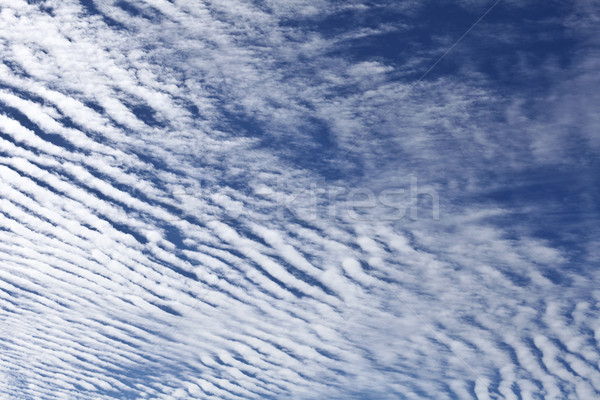 Blanco nubes cielo azul invierno día Australia Foto stock © ribeiroantonio