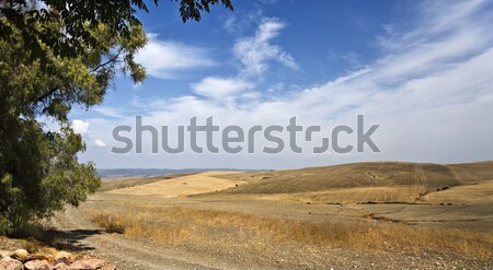 Vista campos España caliente verano día Foto stock © ribeiroantonio