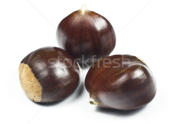 Chestnuts (castanea sativa) Stock photo © ribeiroantonio