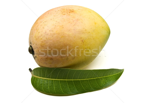 Mango nuevos temporada aislado blanco alimentos Foto stock © ribeiroantonio