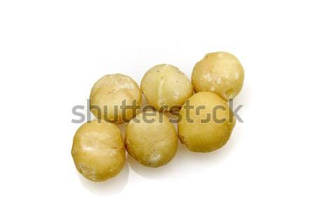 Macadamia nuts Stock photo © ribeiroantonio
