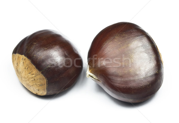 Chestnuts (castanea sativa) Stock photo © ribeiroantonio