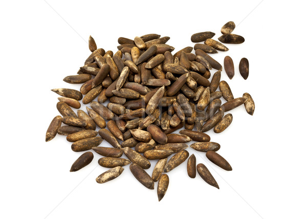 Jalghoza or Pine Nuts Stock photo © ribeiroantonio
