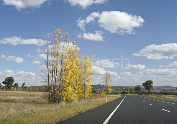 Australiano carreteras camino rural cielo azul nueva gales del sur Australia Foto stock © ribeiroantonio