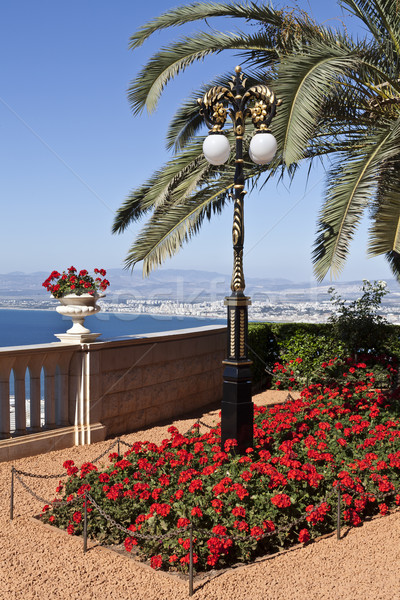 Jardines vista jardín océano palmera fe Foto stock © ribeiroantonio