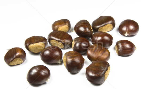 Chestnuts (castanea sativa) Stock photo © ribeiroantonio