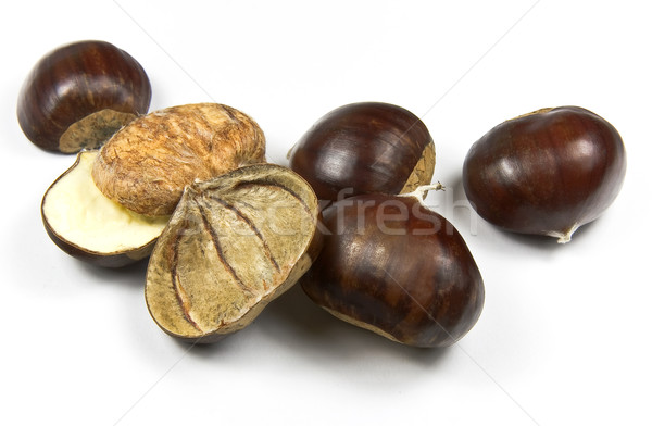 Chestnuts (castanea sativa) Stock photo © ribeiroantonio