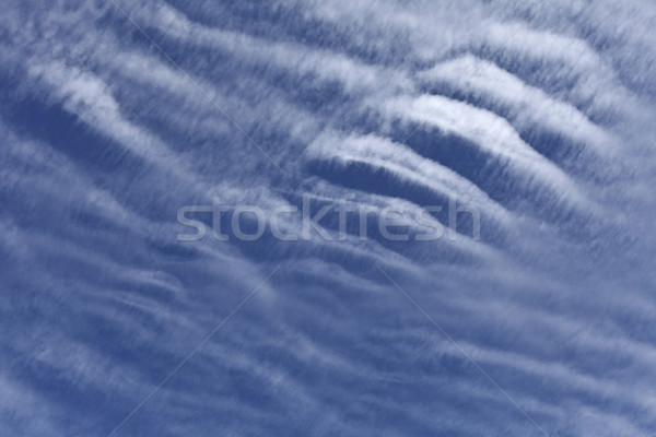 Blanco nubes cielo azul invierno día Australia Foto stock © ribeiroantonio