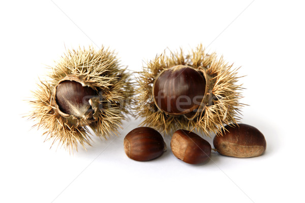 Chestnuts Stock photo © ribeiroantonio