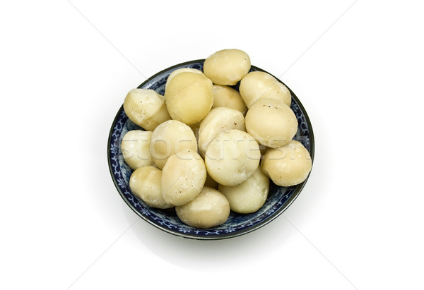 Macadamia nuts Stock photo © ribeiroantonio
