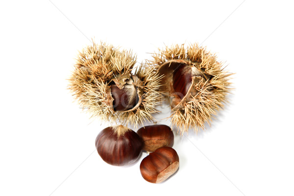 Chestnuts Stock photo © ribeiroantonio