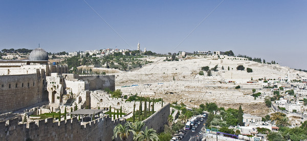 Dome of the Al-Aqsa Mosque and the Mount of Olives Stock photo © ribeiroantonio