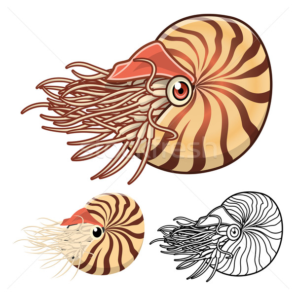 Nautilus Cartoon Character Stock photo © ridjam