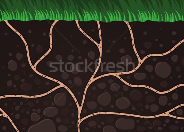 Koloni karınca zemin çim toprak çalışma Stok fotoğraf © riedjal