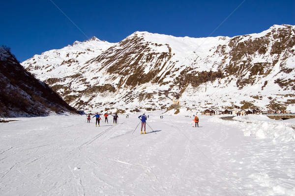 cross-country ski park Stock photo © rmarinello