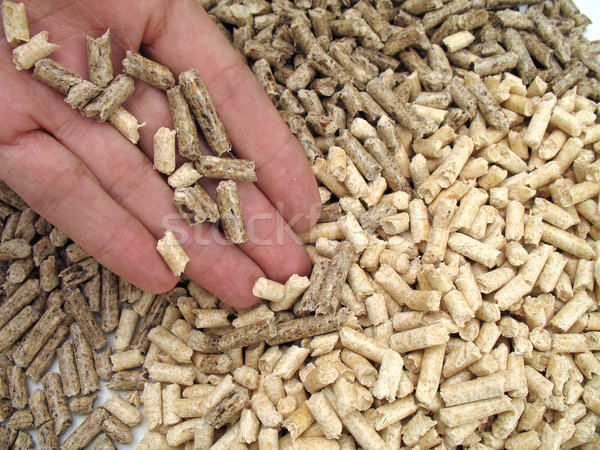 hand and bi-colour wood pellets Stock photo © rmarinello