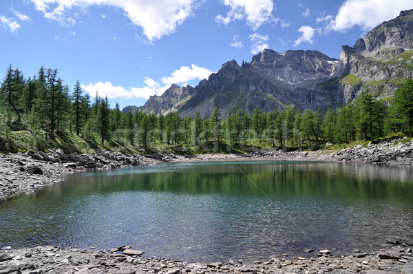 Alpino lago panorama ver pequeno parque Foto stock © rmarinello
