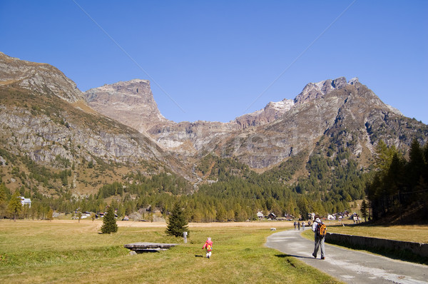 Alpe Devero alpine trekking Stock photo © rmarinello
