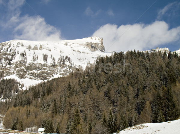 Stock photo: snowy rock summits and forest