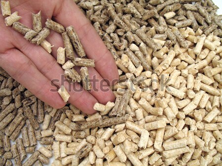 hand and bi-colour wood pellets Stock photo © rmarinello