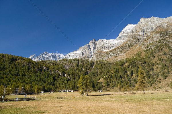 Alpino paisagem naturalismo parque alpes natureza Foto stock © rmarinello