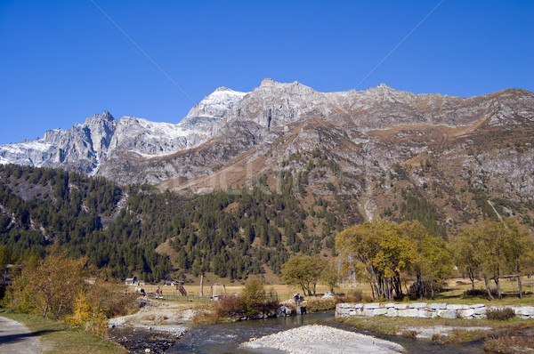 Alpe Devero alpine landscape Stock photo © rmarinello