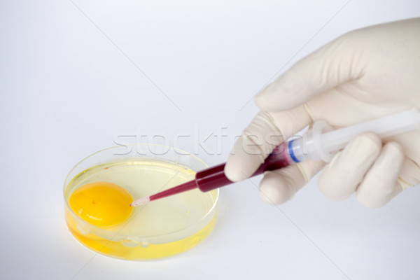 Stock photo: Injecting an egg