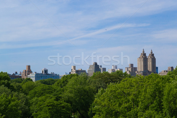 Upper West Side from the Metropolitan museum Stock photo © rmbarricarte