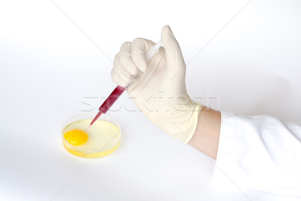 Ei Injektion leben genetische Material Stock foto © rmbarricarte