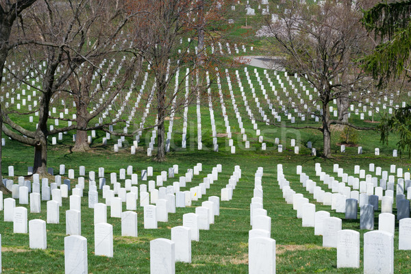 Bianco cimitero militari soldati guerra civile guerra Foto d'archivio © rmbarricarte