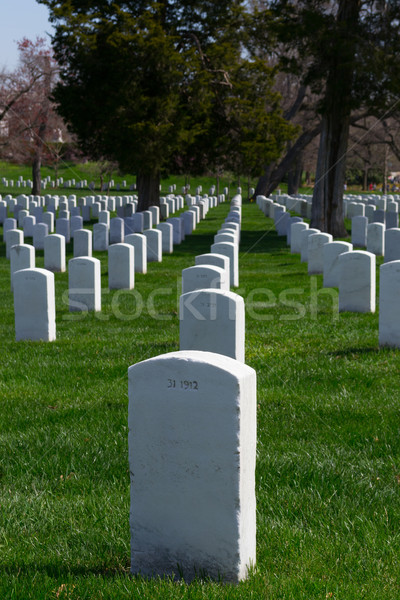 Lines of gravestones Stock photo © rmbarricarte