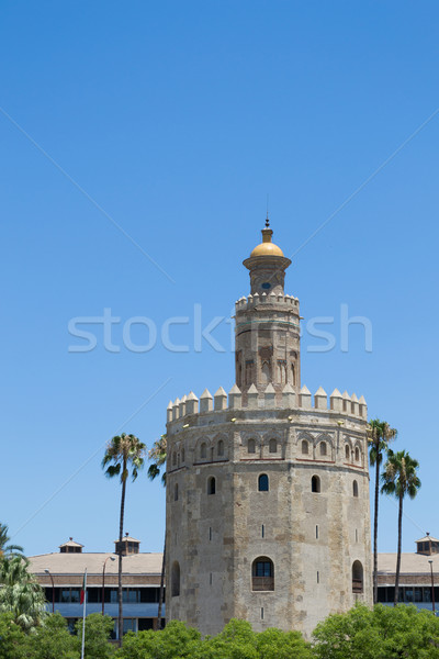 Stock photo: Gold tower within palmtrees