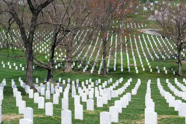 Lijnen begraafplaats militaire soldaten burgeroorlog oorlog Stockfoto © rmbarricarte