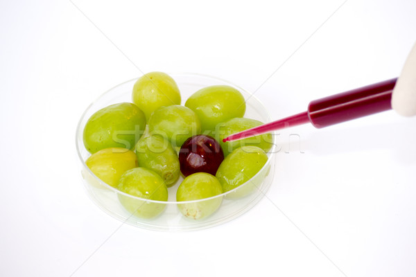 Injecting grapes Stock photo © rmbarricarte