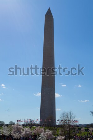 Washington Memorial Ovelisk Stock photo © rmbarricarte