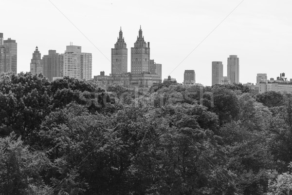 Czarno białe taras najlepszy Central Park charakter Zdjęcia stock © rmbarricarte