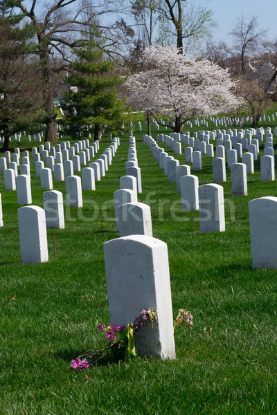 Friedhof militärischen Soldaten Bürgerkrieg Krieg Tod Stock foto © rmbarricarte