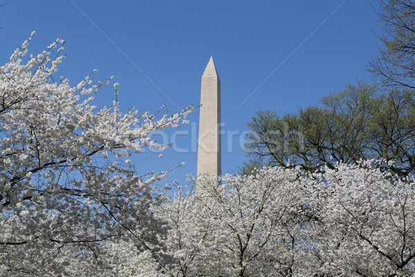 Washington primero EUA presidente mundo Foto stock © rmbarricarte