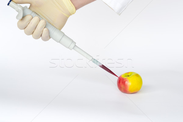 Elma yaşayan genetik malzeme el Stok fotoğraf © rmbarricarte