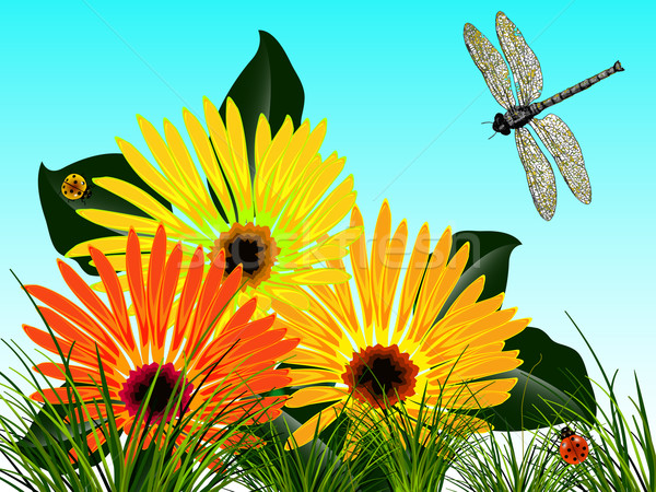 bugs and flowers card Stock photo © robertosch